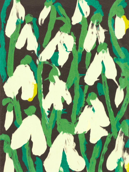 Snowdrops 2