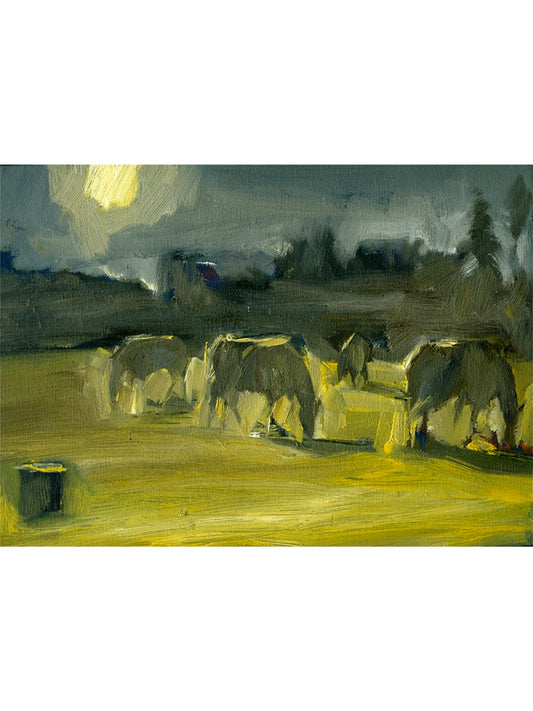Winter Horses