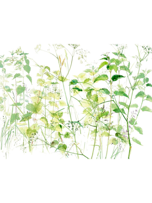 In Spring III