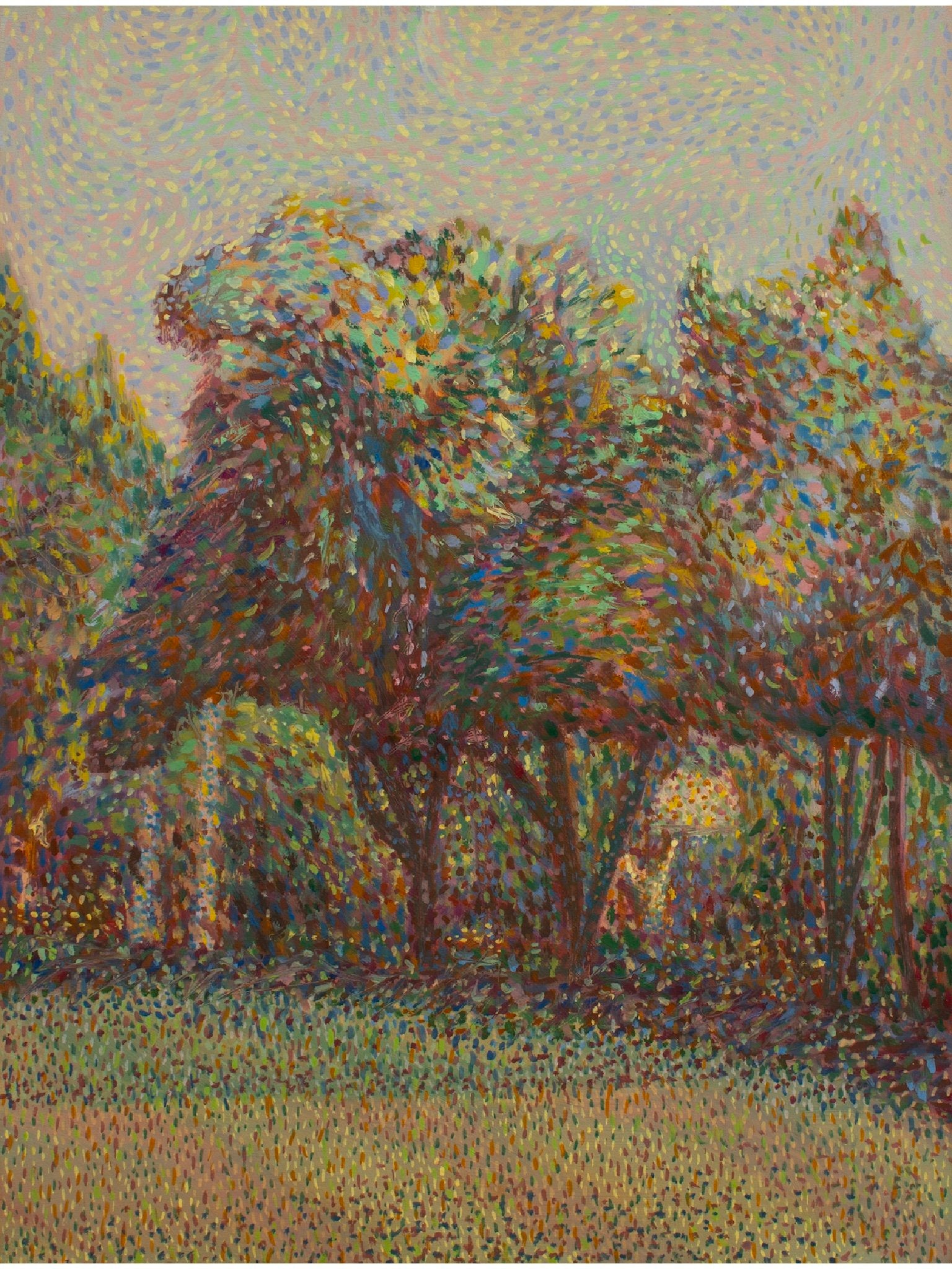Studio Park