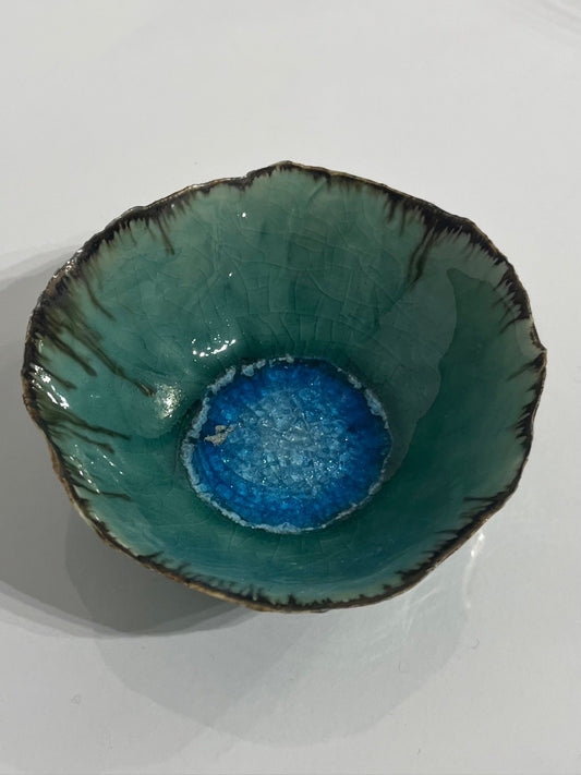 Small Dish in Mediterranean Sea