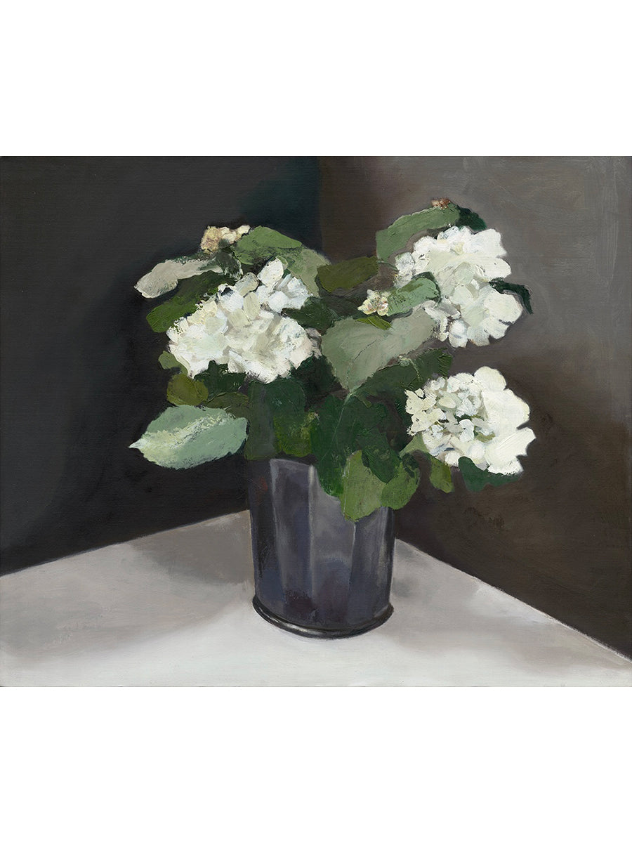 White Hydrangea