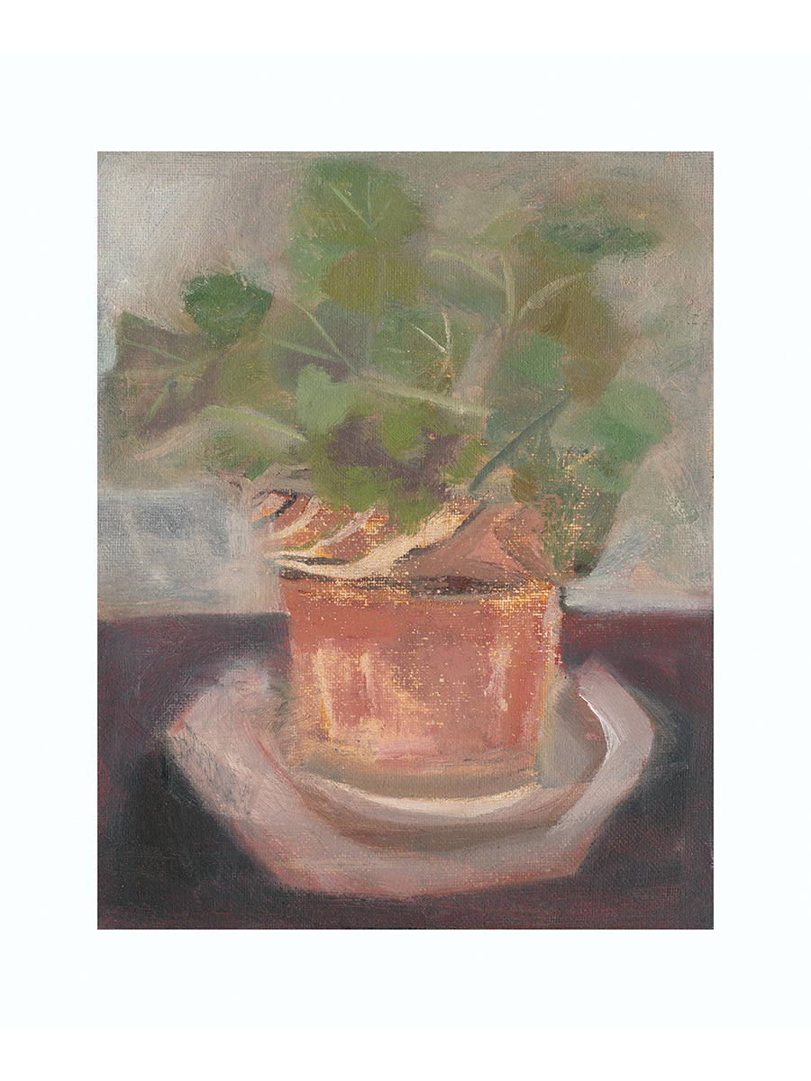 Old Geranium (Giclée Pint)