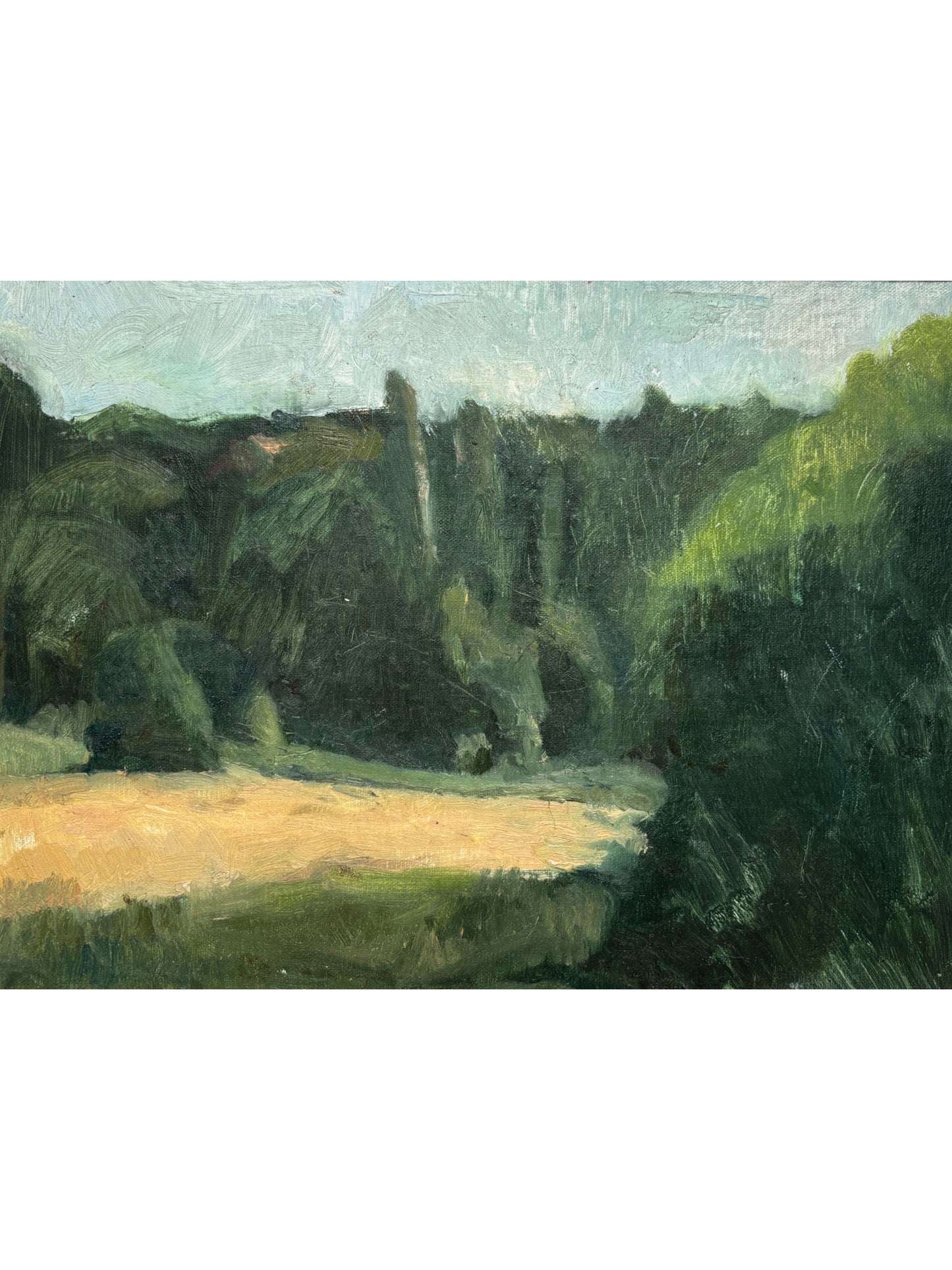 Meadow at Hampstead Heath