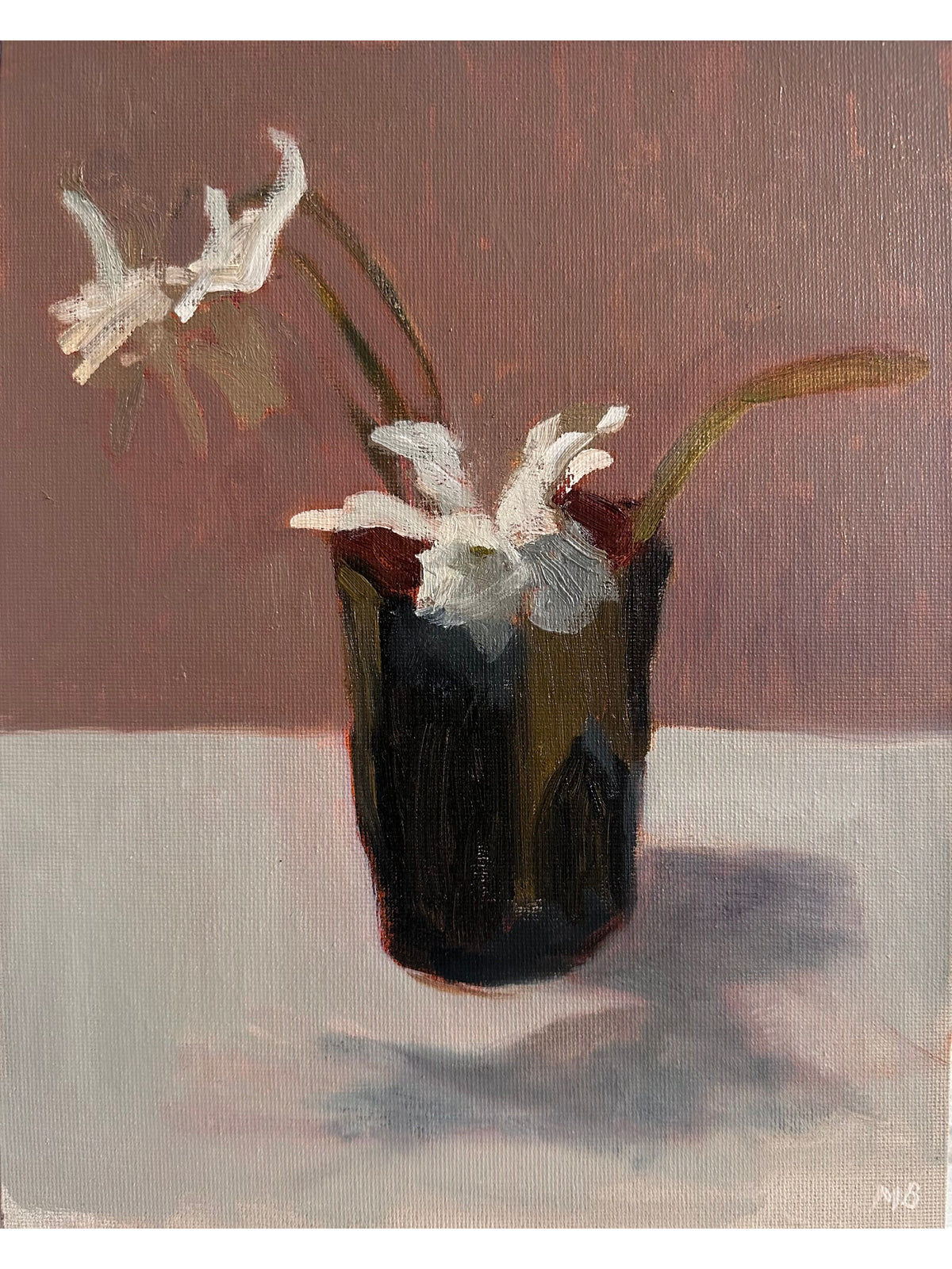 Garden Daffodils