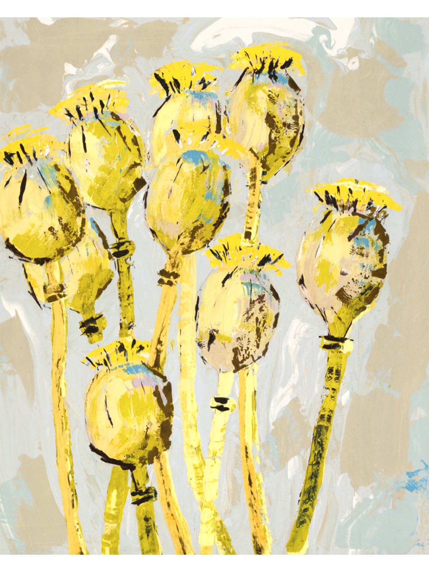 Poppy Seed Heads