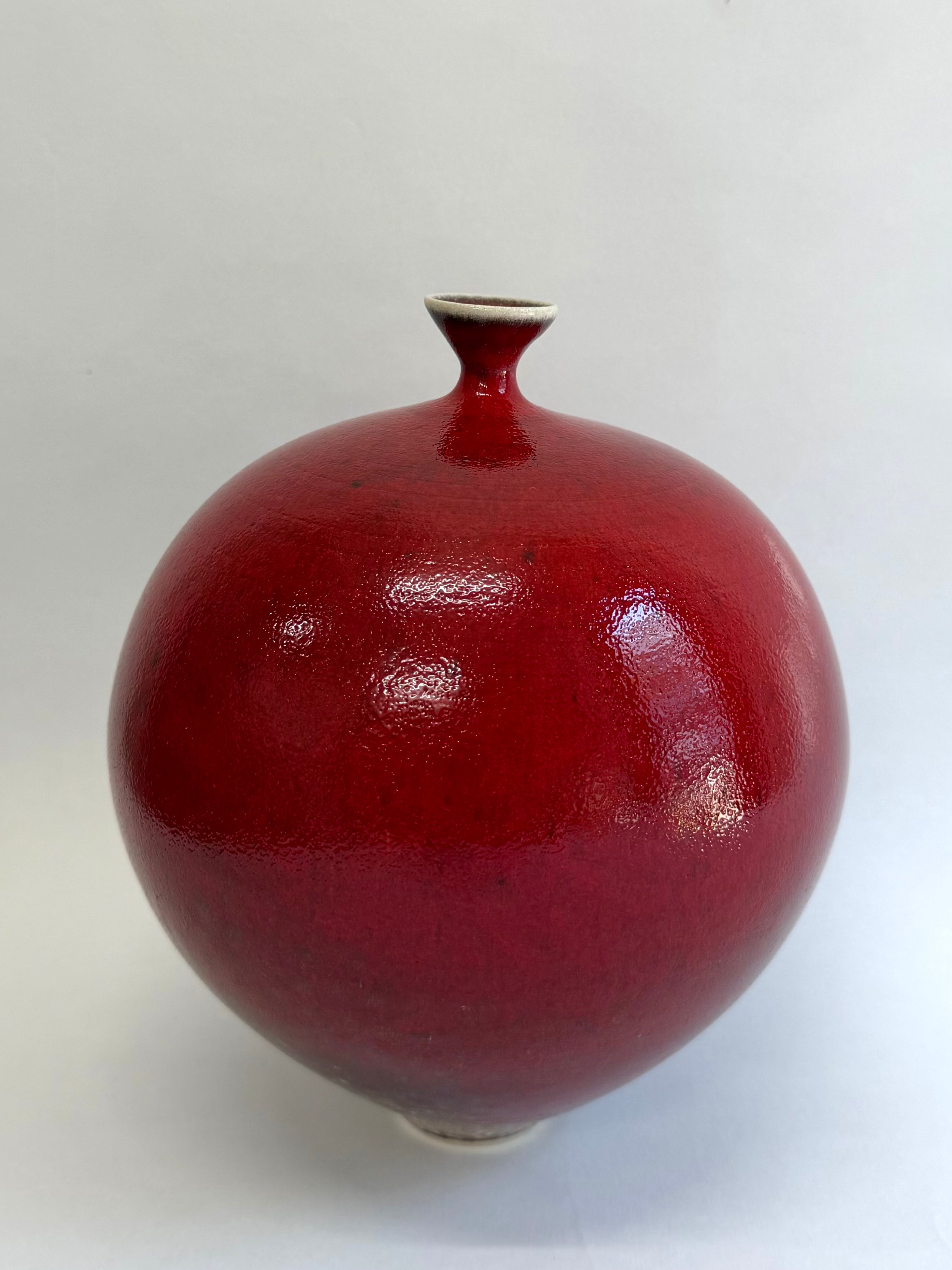 Pomme d'Amour 2024 4