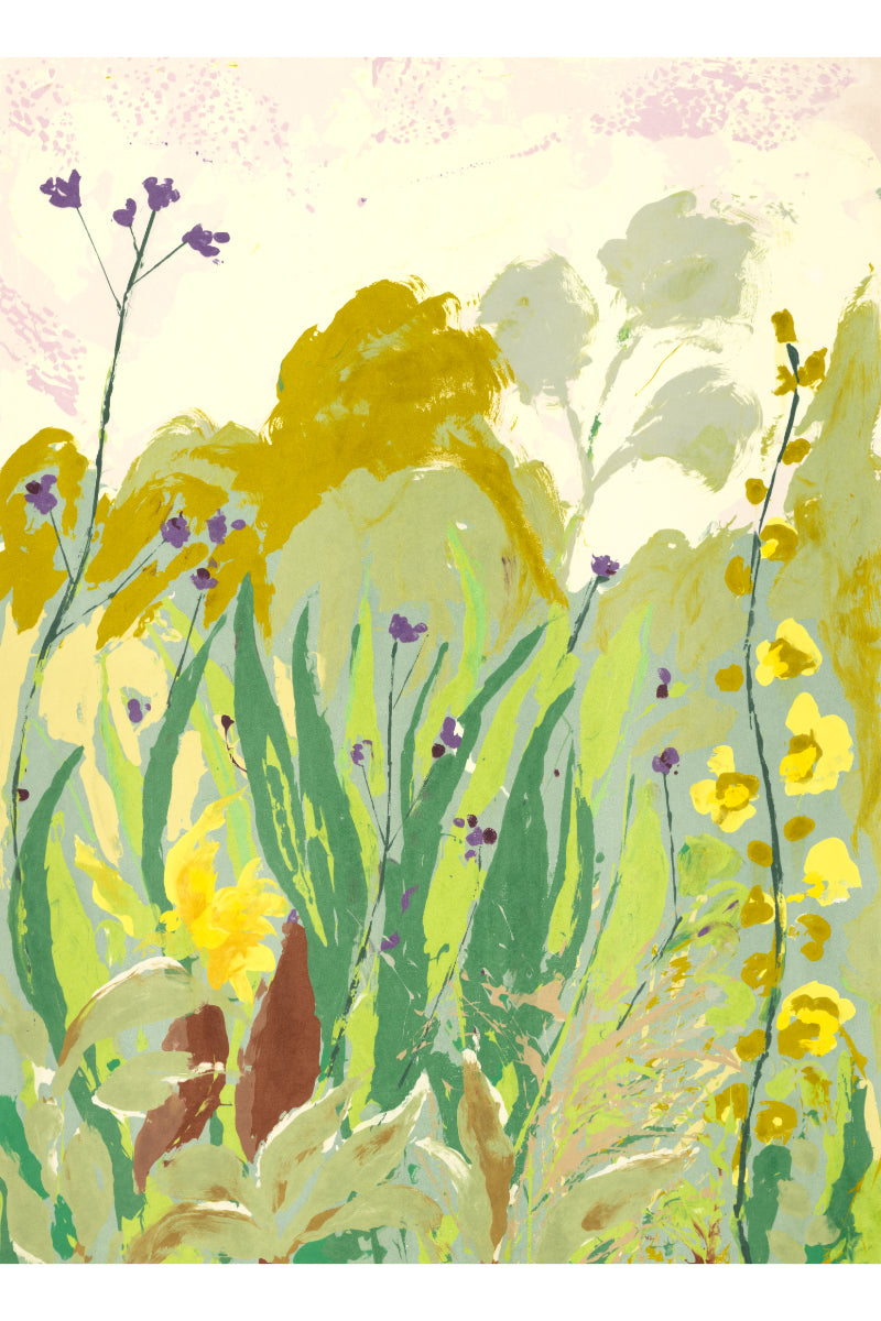 Summer Meadow 4