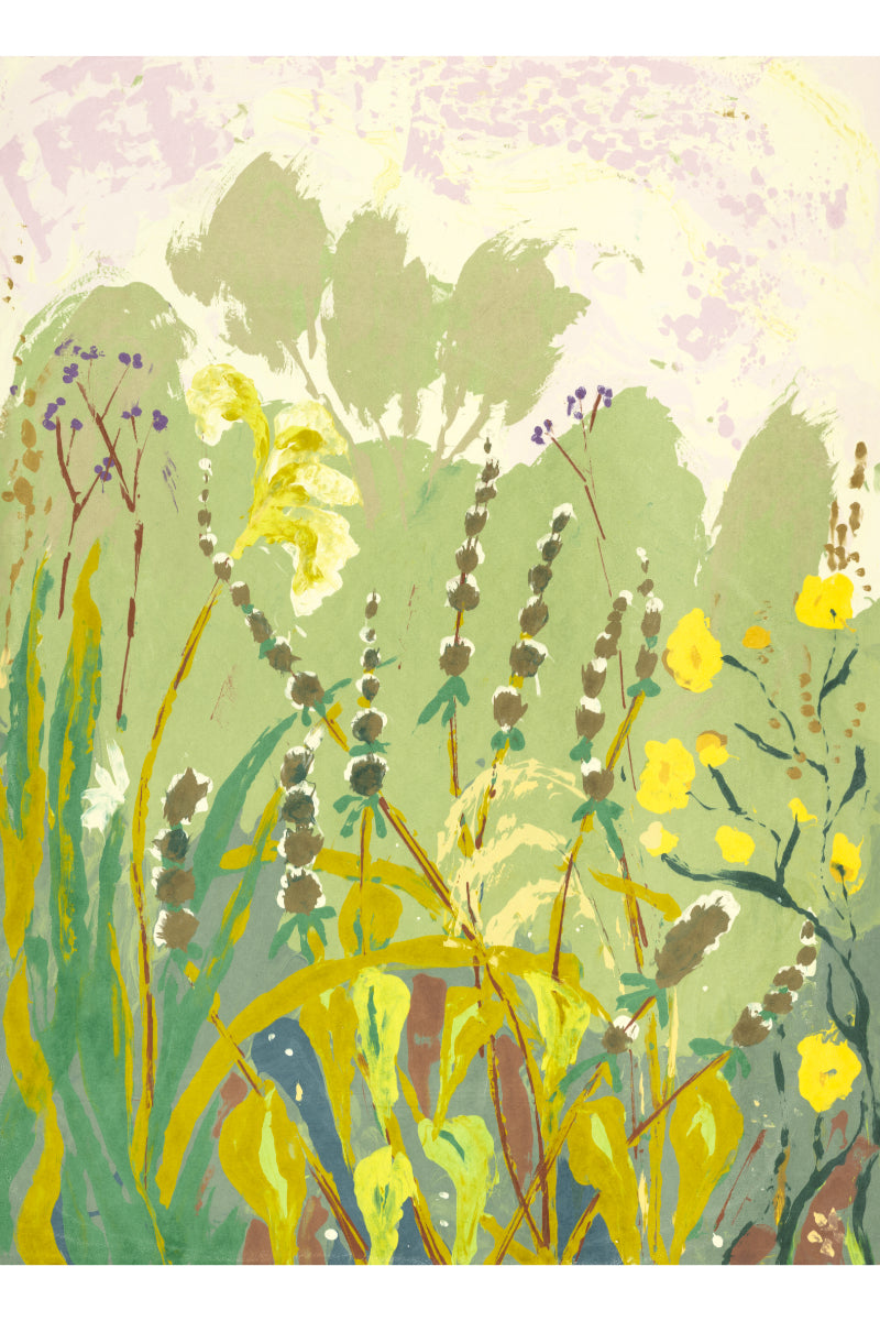 Summer Meadow 5