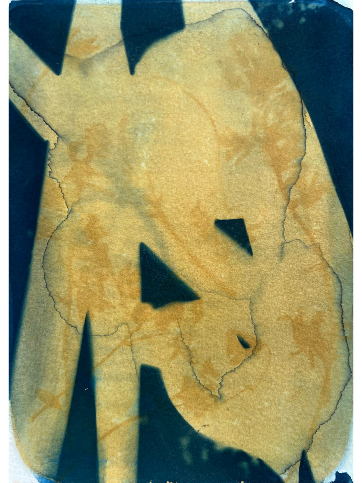 Summer Figures II