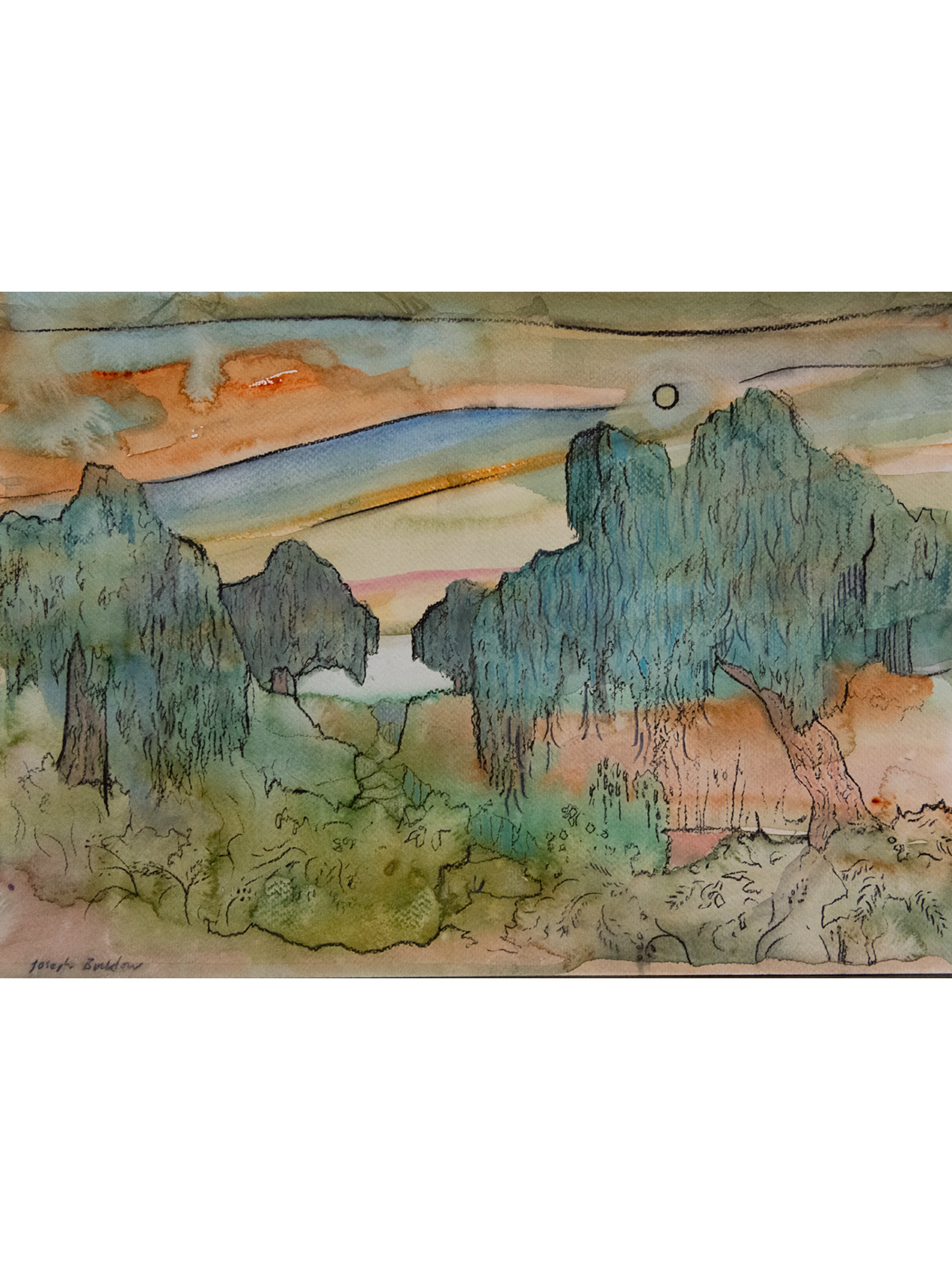 Willows Study