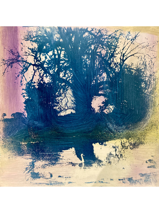 Chaos Series: As Calm as a Swan
