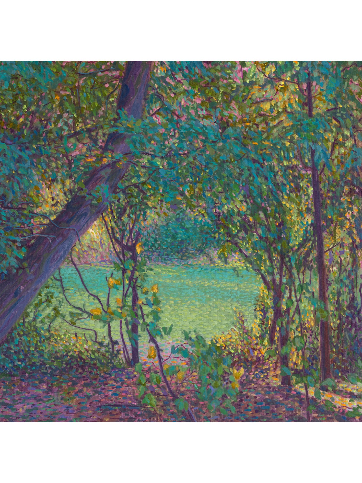 The Green Pond Through the Trees