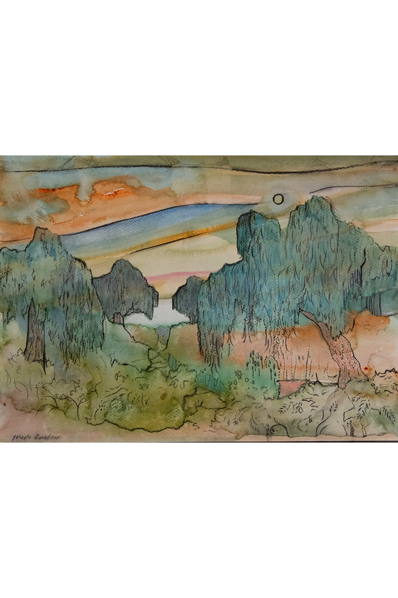 Sketch of the Willows