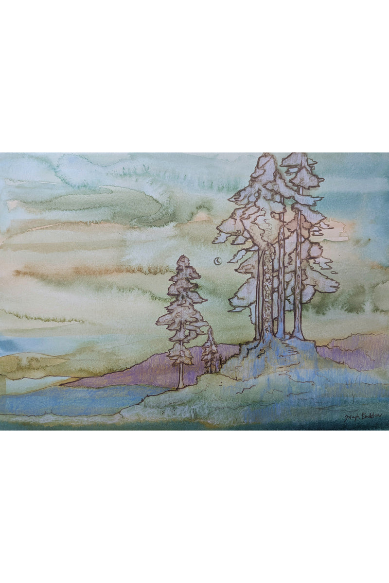 Study of the Pines