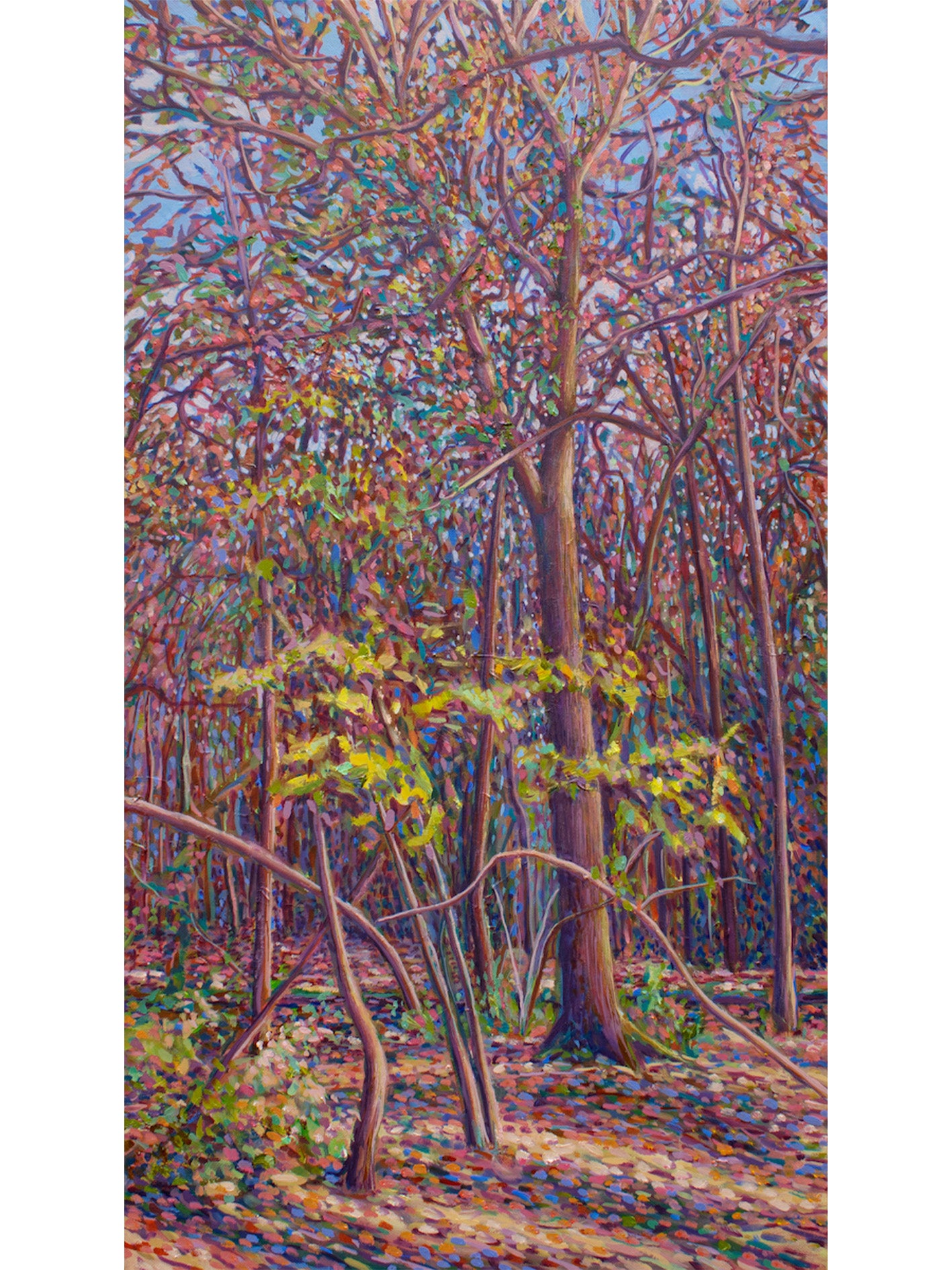 Last of the Leaves