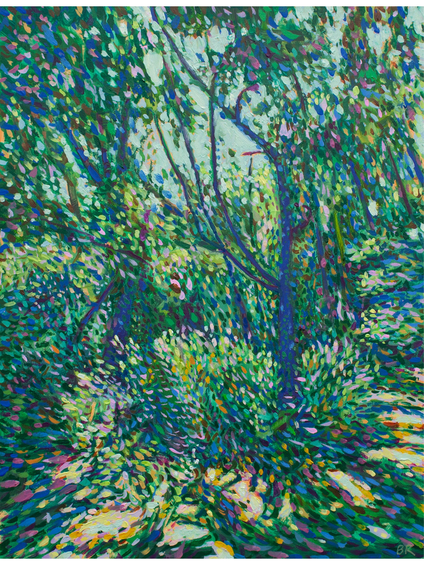 Light Through the Woodland Canopy