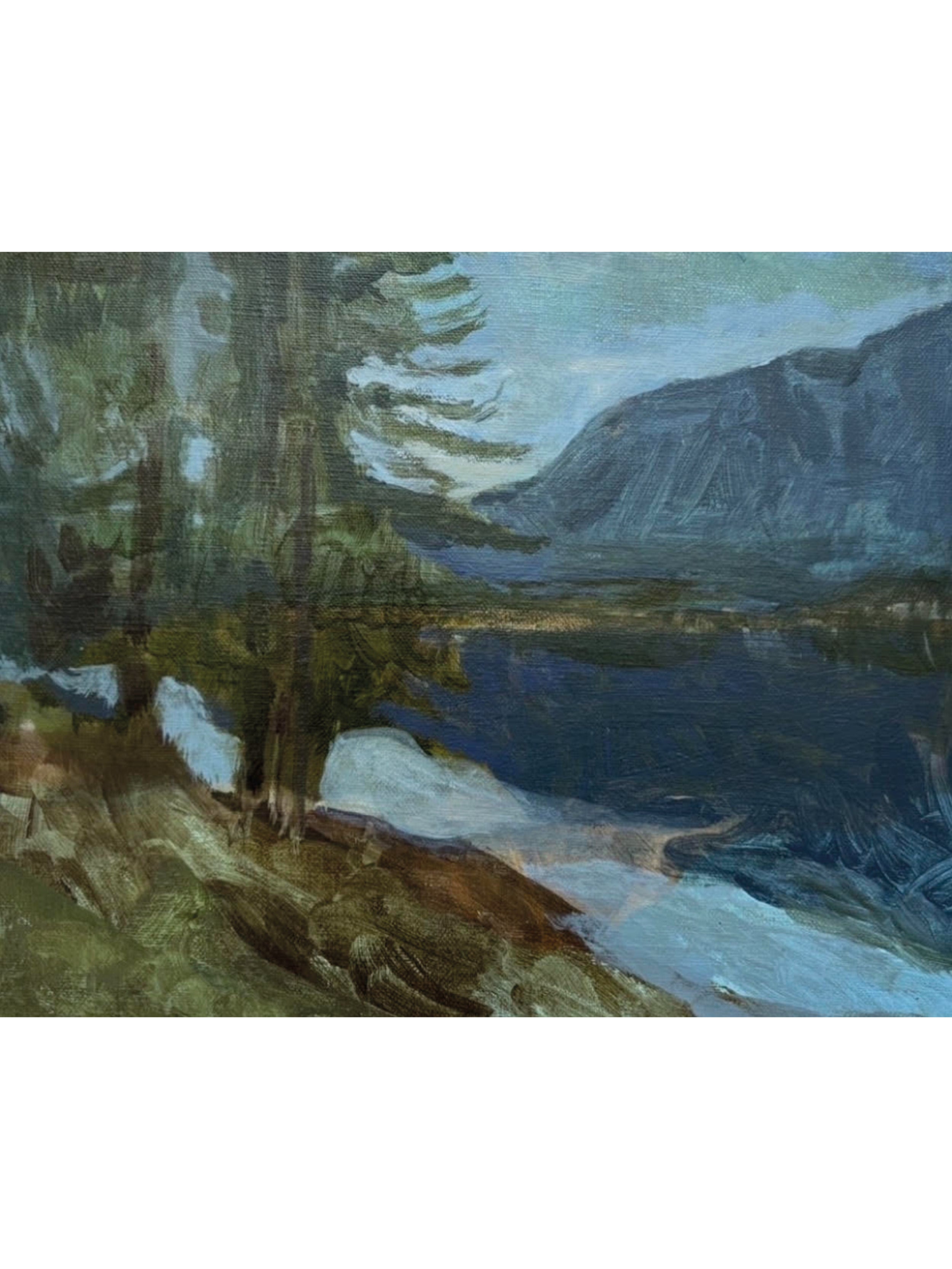 Shores of Loch Maree