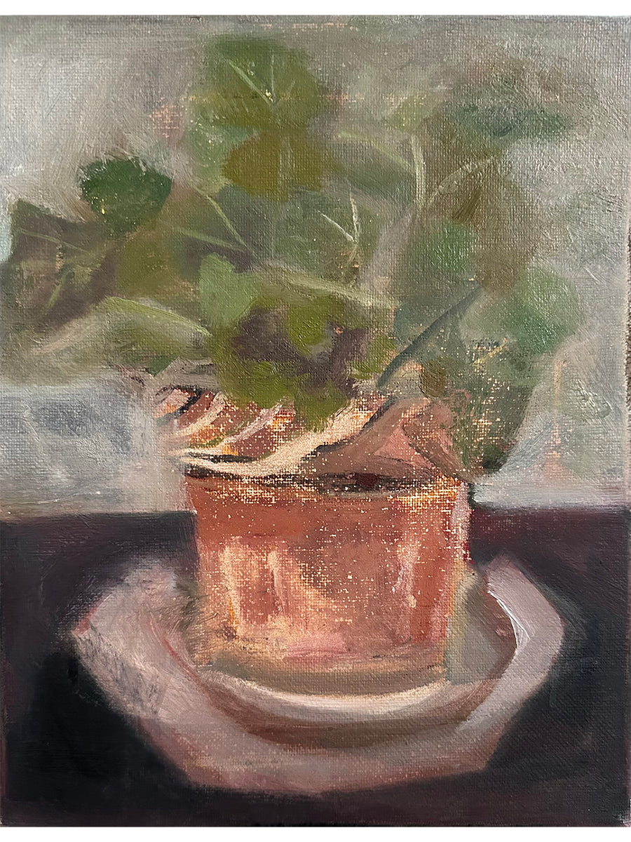 Old Geranium