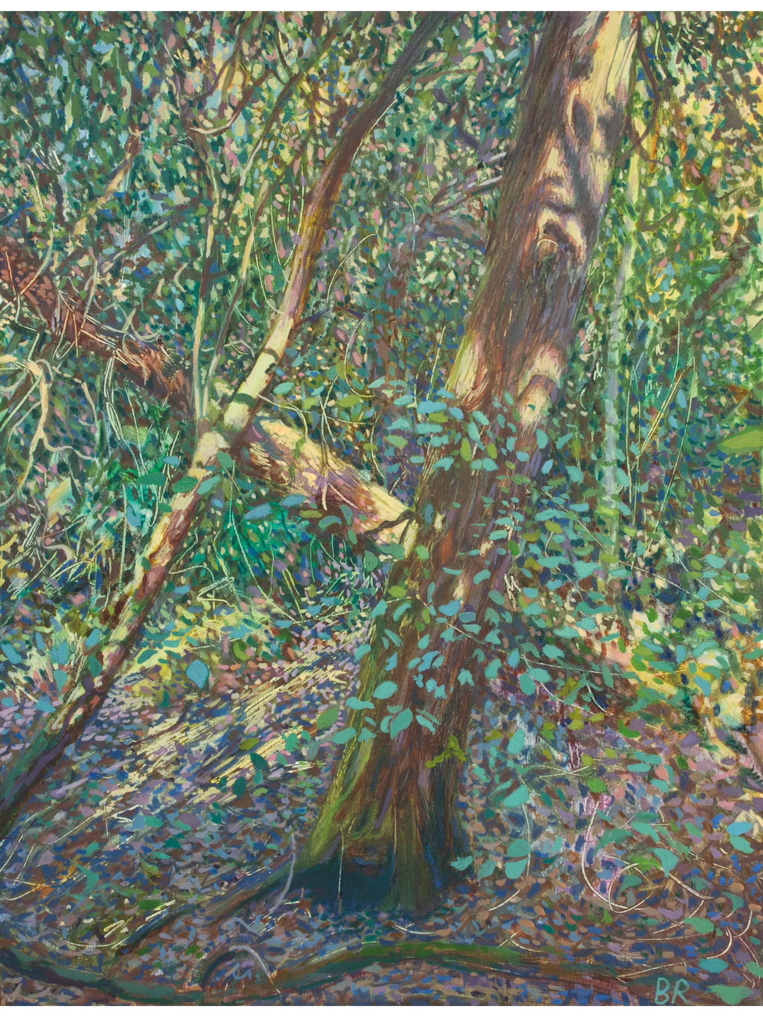 Oak Through the Leaves